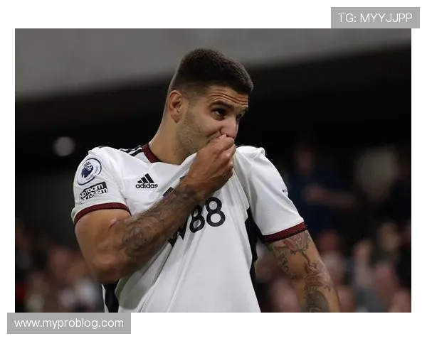 米特罗维奇进球数据