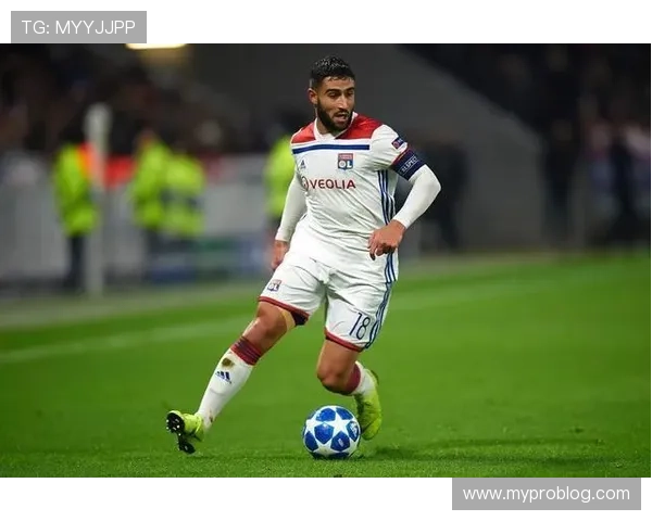 圣埃蒂安数据分析