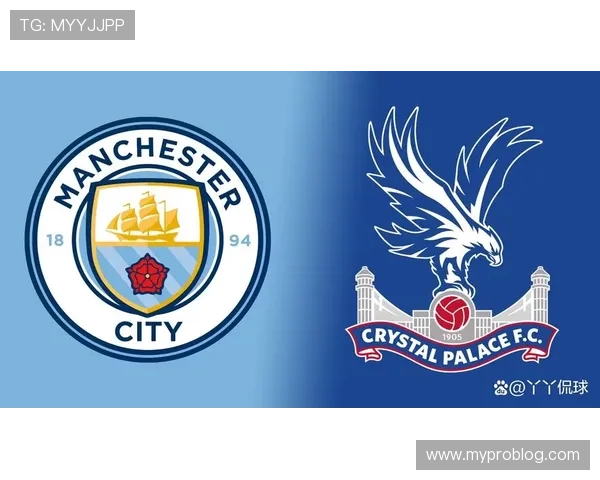 英超水晶宫塞尔赫斯特公园