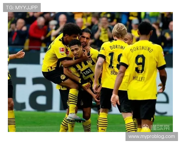 多特蒙德本赛季德甲表现稳健，竞争力持续增强